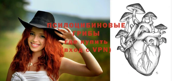 apvp Бородино