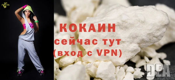 apvp Бородино
