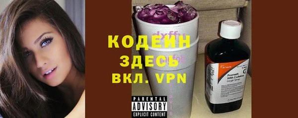 apvp Бородино