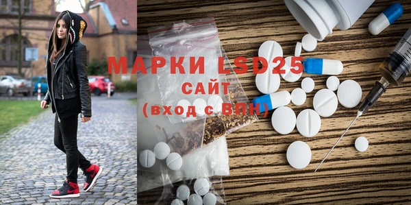 apvp Бородино