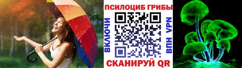 где можно купить   Уфа  Галлюциногенные грибы прущие грибы 
